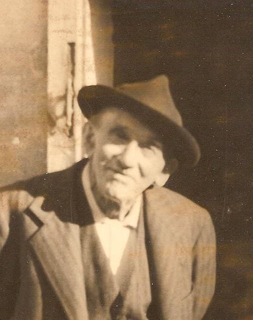 Le radici della bottega