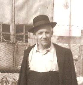 Evoluzione e continuita